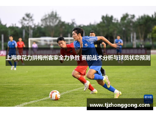 上海申花力拼梅州客家全力争胜 赛前战术分析与球员状态预测