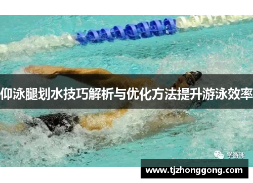 仰泳腿划水技巧解析与优化方法提升游泳效率