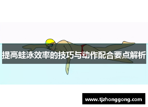 提高蛙泳效率的技巧与动作配合要点解析