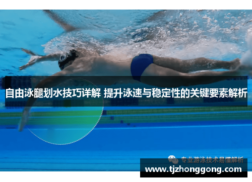 自由泳腿划水技巧详解 提升泳速与稳定性的关键要素解析