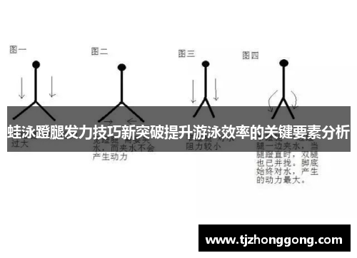 蛙泳蹬腿发力技巧新突破提升游泳效率的关键要素分析