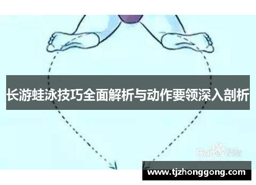 长游蛙泳技巧全面解析与动作要领深入剖析